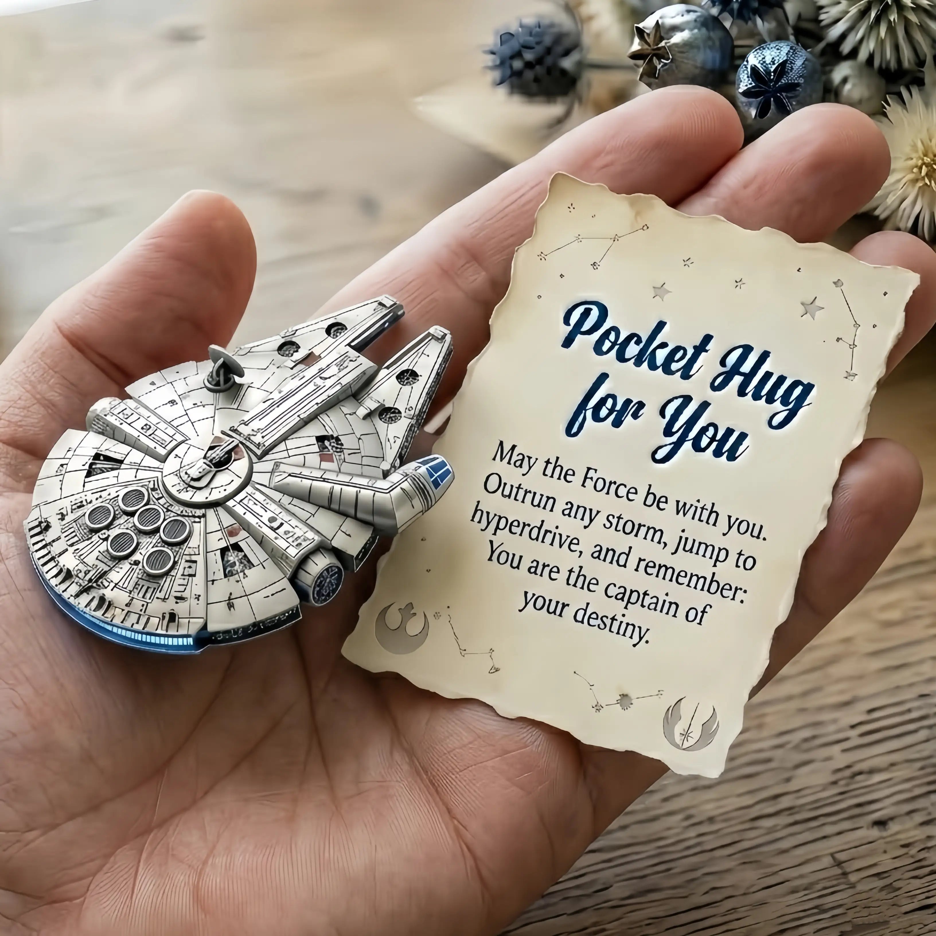 Millennium Falcon Pocket Hug